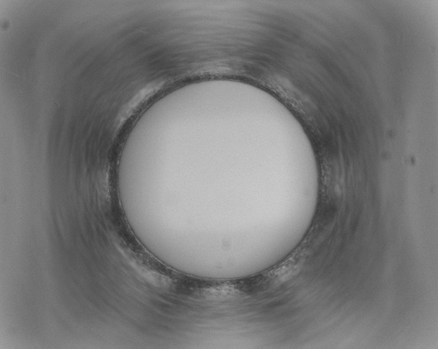 X0000073450112200608111400