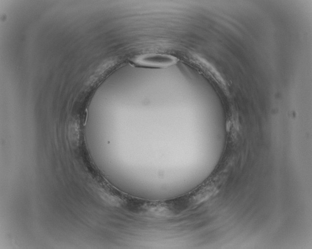 X0000073450113200608111400