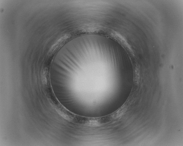 X0000073450114200608111400