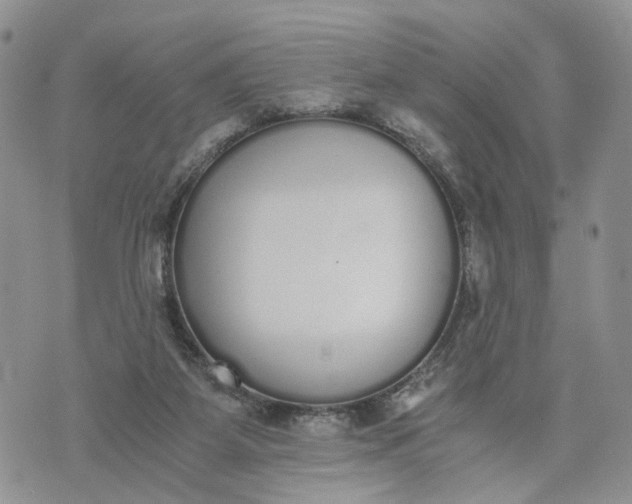 X0000073450115200608111400