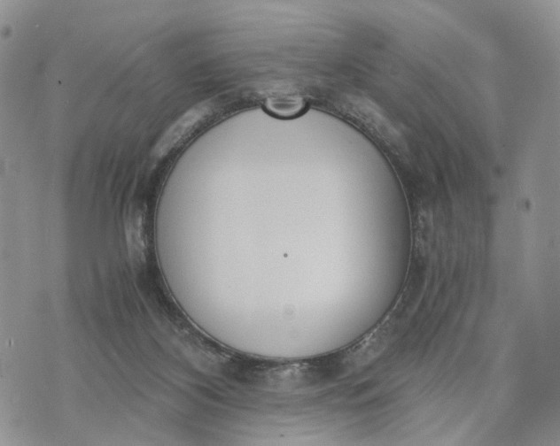 X0000073450116200608111400