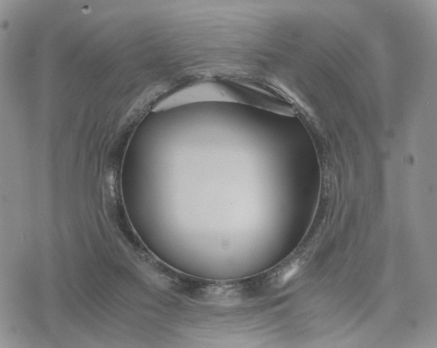 X0000073450117200608111400