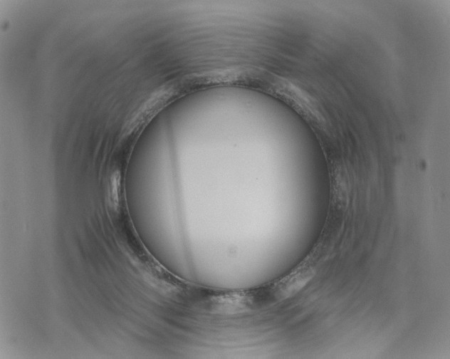 X0000073450118200608111400