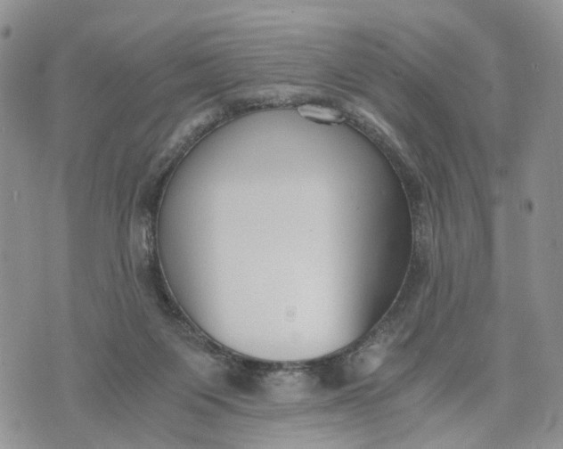 X0000073450119200608111400