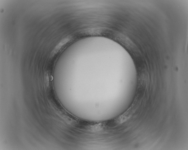 X0000073450120200608111400