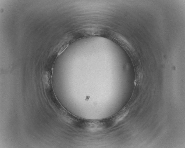 X0000073450121200608111400