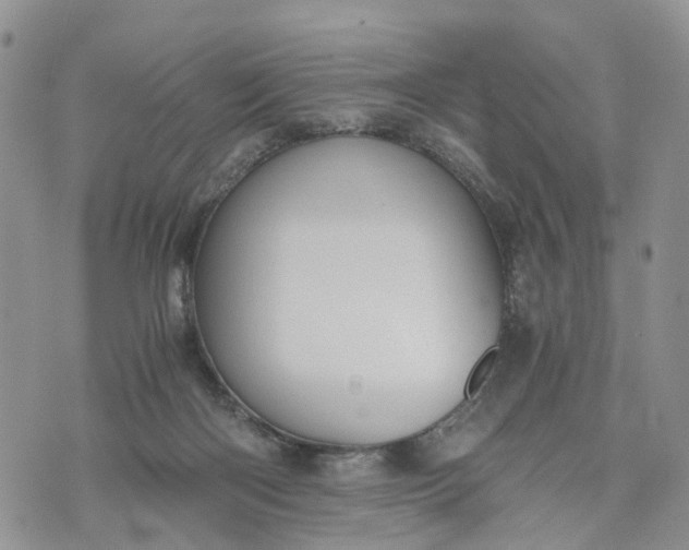 X0000073450122200608111400