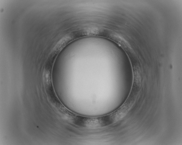 X0000073450123200608111400