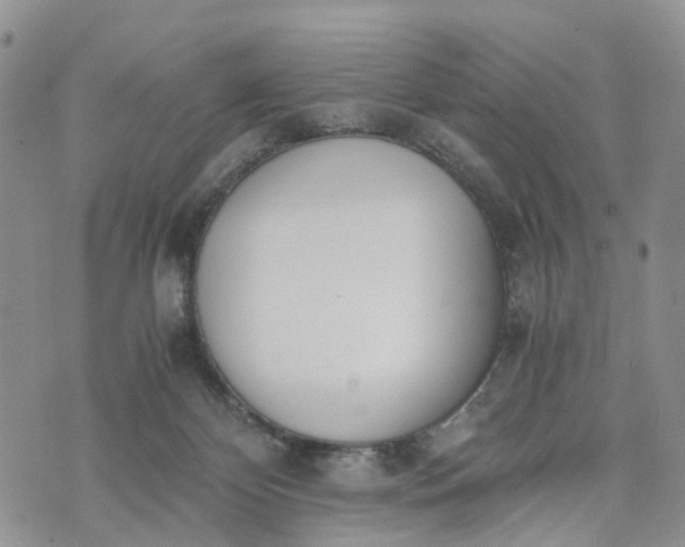 X0000073450124200608111400