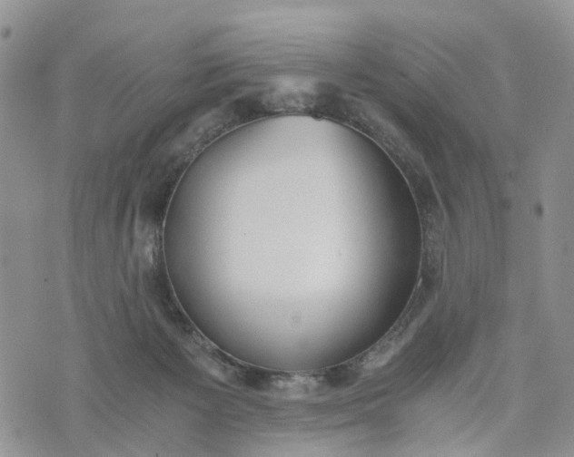 X0000073450125200608111400