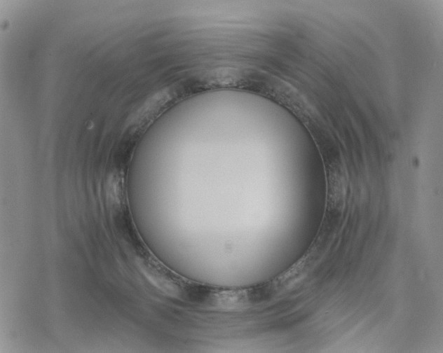 X0000073450126200608111400