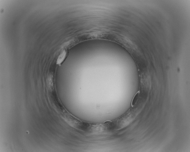 X0000073450127200608111400