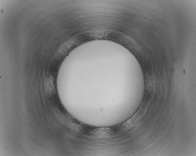 X0000073450128200608111400