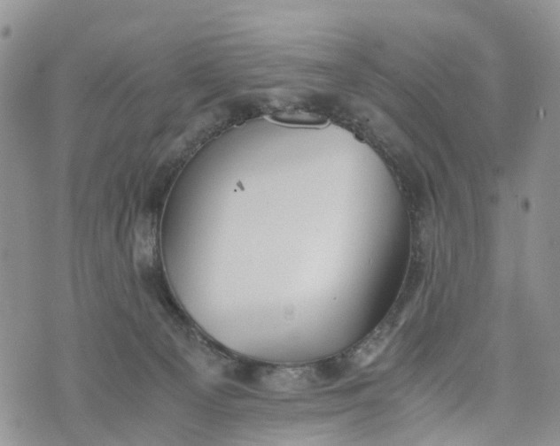 X0000073450129200608111400