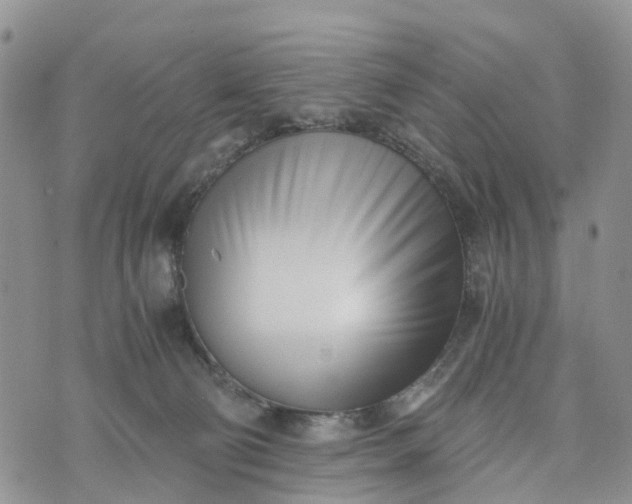 X0000073450130200608111400