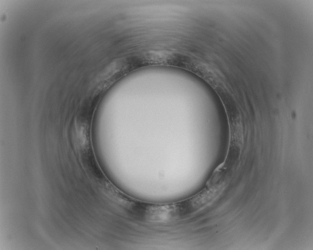 X0000073450131200608111400