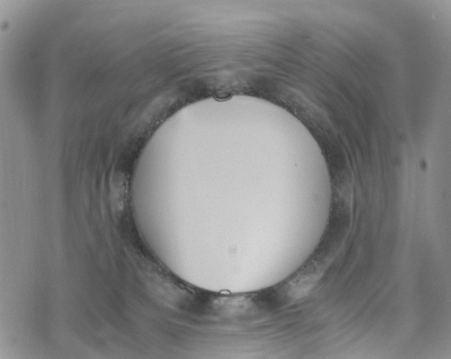 X0000073450133200608111400