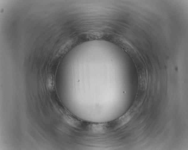 X0000073450134200608111400