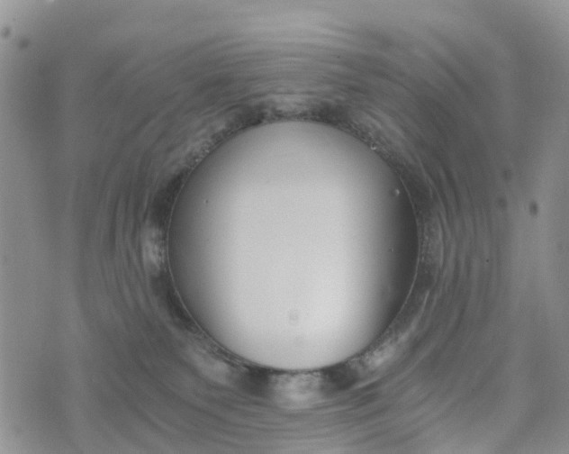 X0000073450135200608111359