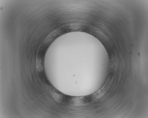 X0000073450136200608111359