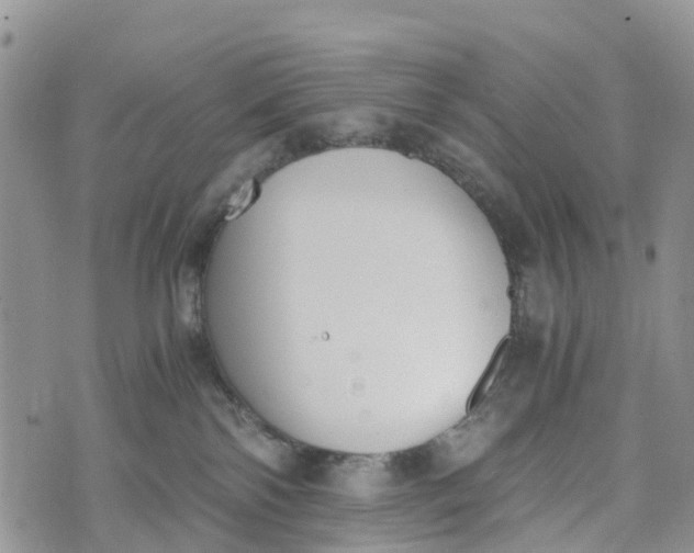 X0000073450138200608111359