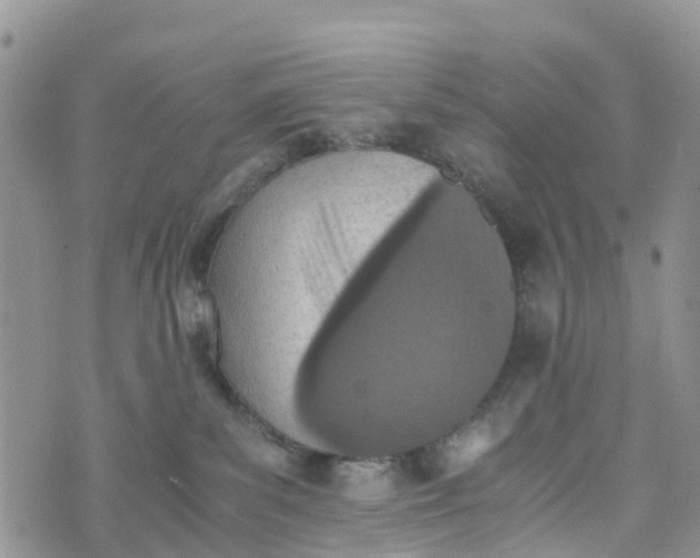 X0000073450139200608111359