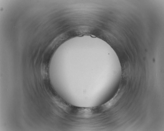 X0000073450140200608111359