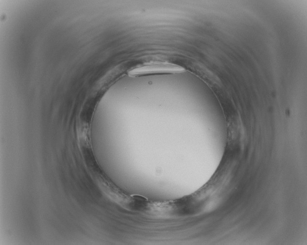 X0000073450141200608111359