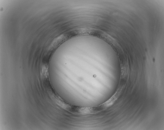 X0000073450142200608111359