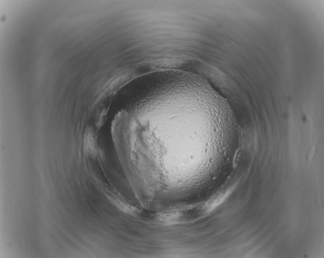 X0000073450143200608111359