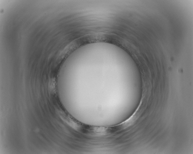 X0000073450144200608111359