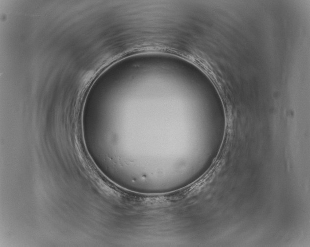 X0000073450145200608111359