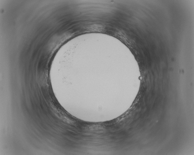 X0000073450146200608111359