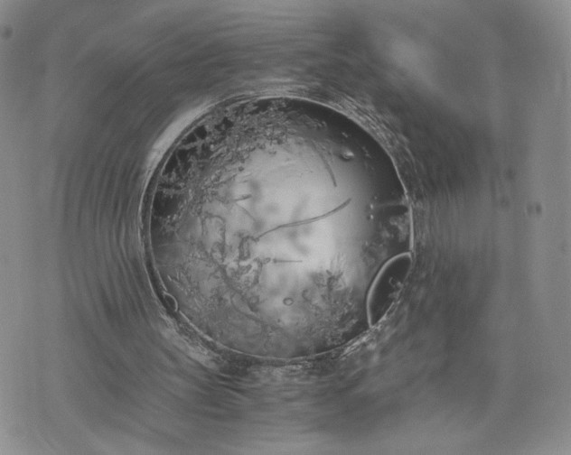 X0000073450147200608111359