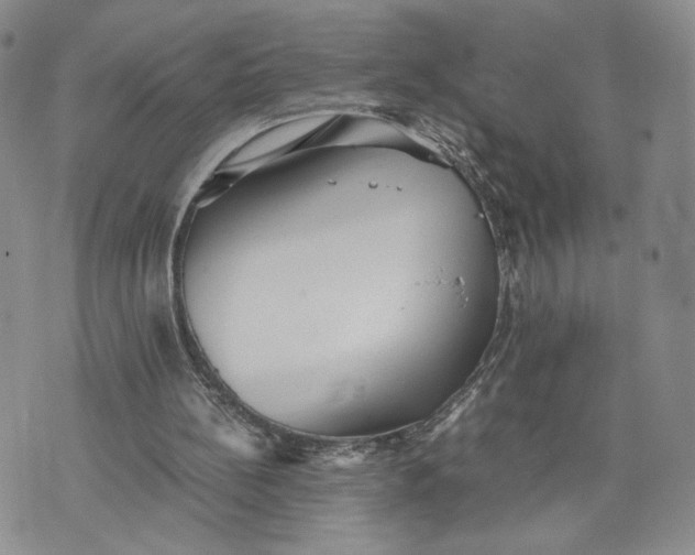 X0000073450148200608111359