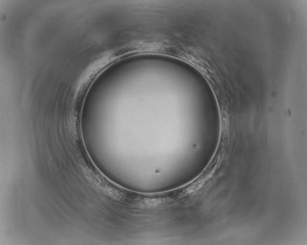 X0000073450149200608111359