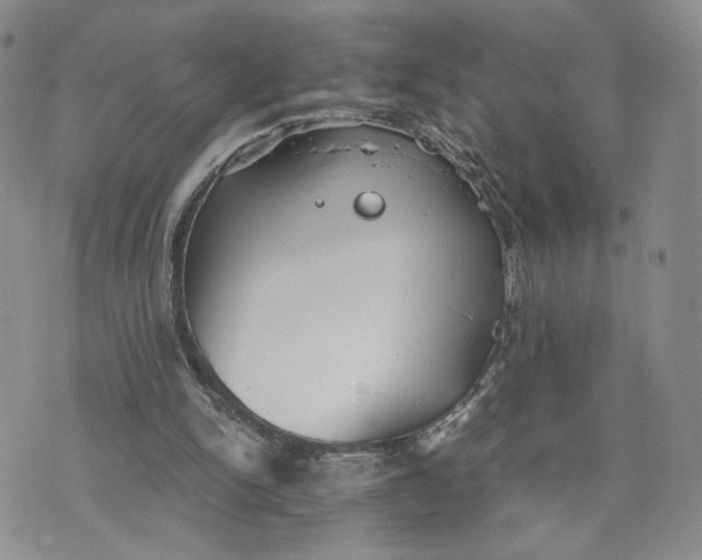 X0000073450150200608111359