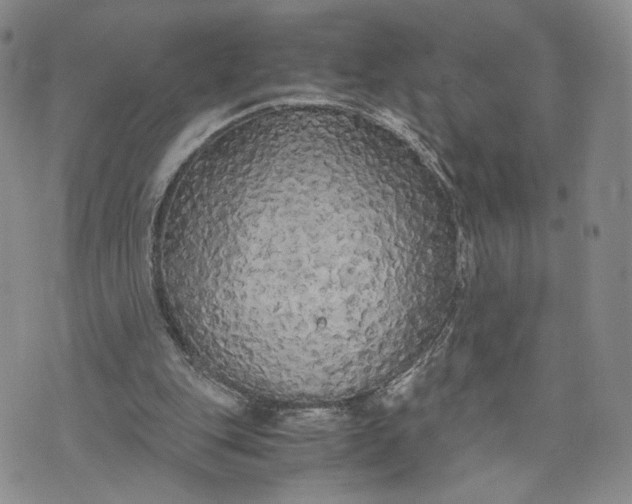 X0000073450151200608111359