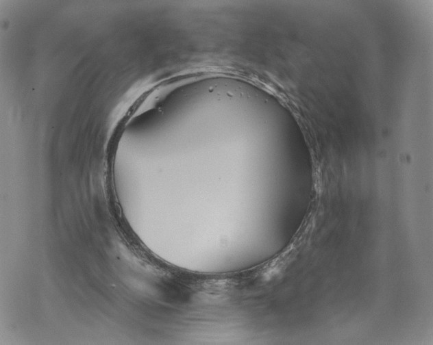 X0000073450152200608111359