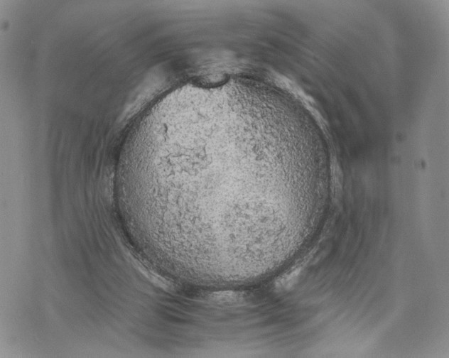 X0000073450153200608111359