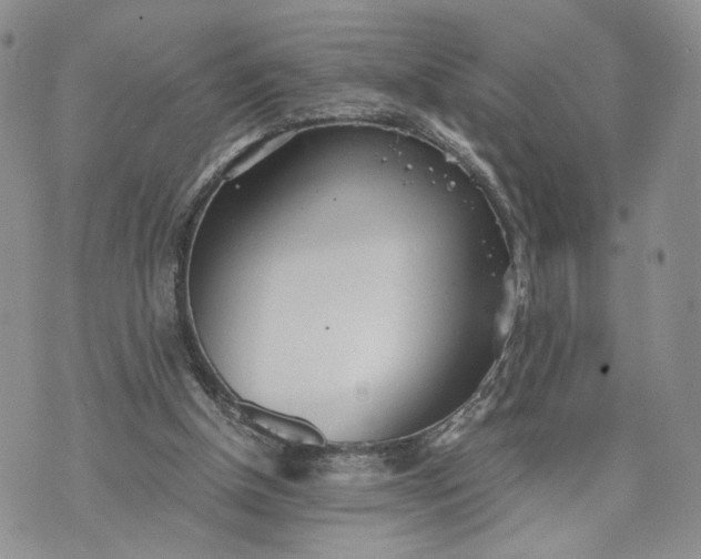 X0000073450154200608111359