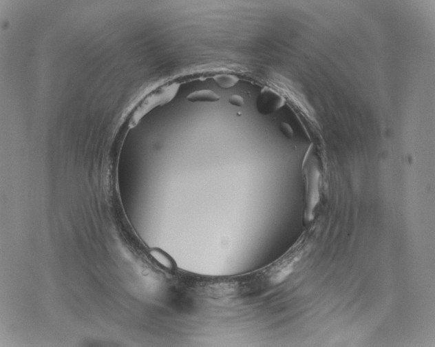 X0000073450156200608111359