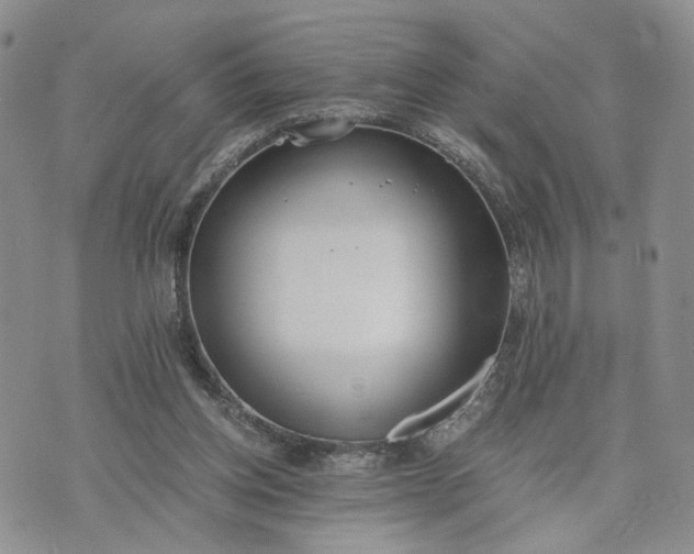 X0000073450158200608111359