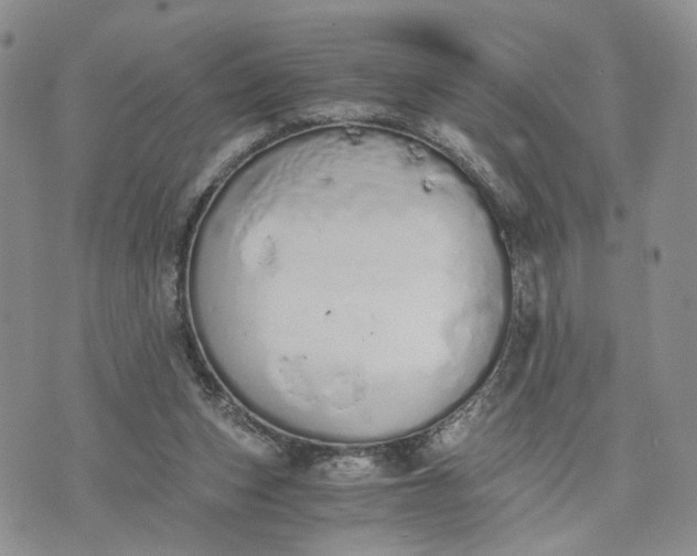 X0000073450159200608111359