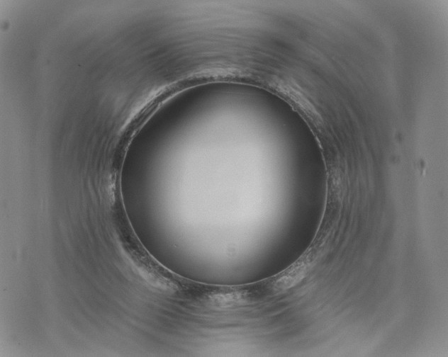 X0000073450160200608111359