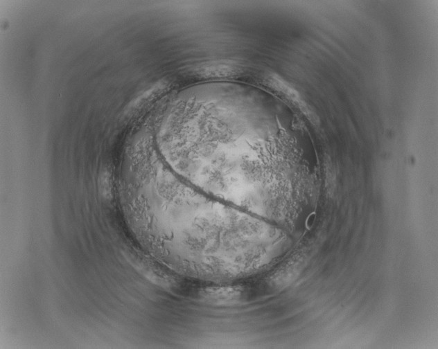 X0000073450161200608111359