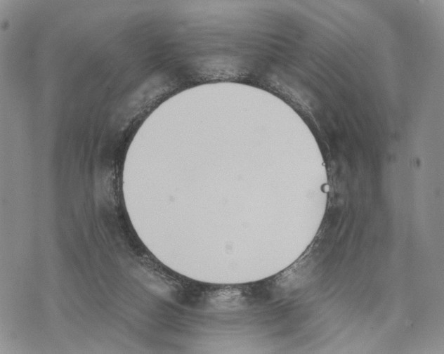 X0000073450162200608111359