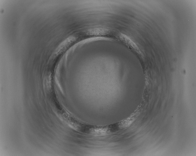 X0000073450163200608111359