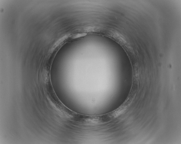 X0000073450164200608111359