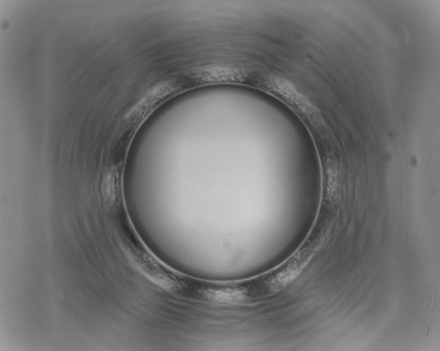 X0000073450165200608111359